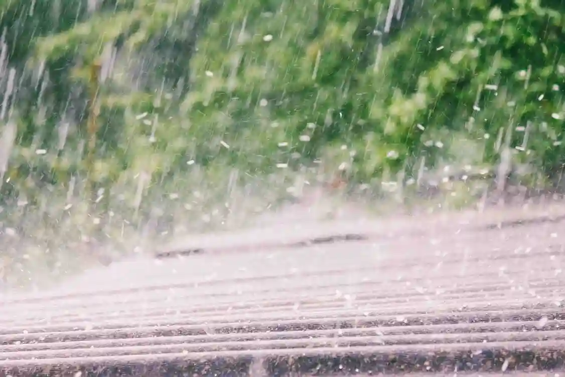 8 Common Types of Roof Damage (and What Causes Them)