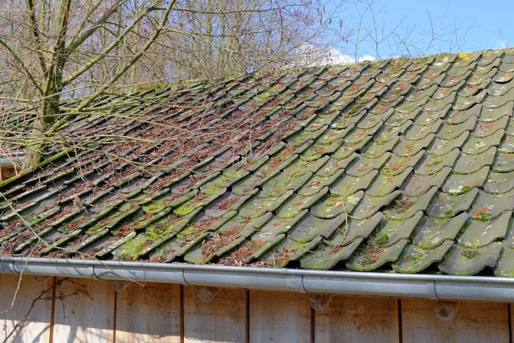 Old tiled roof with moss, fallen twigs, and leafless tree branches around it