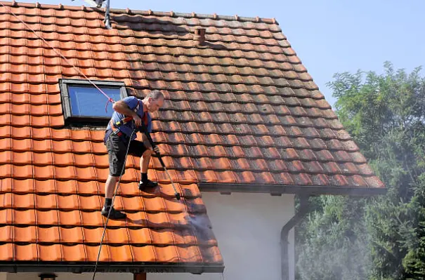 roof cleaning