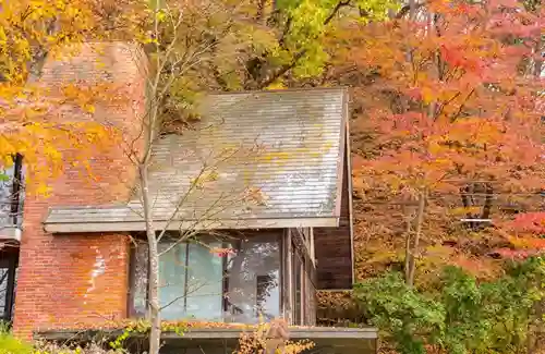 Clogged Gutters with Autumn Leaves