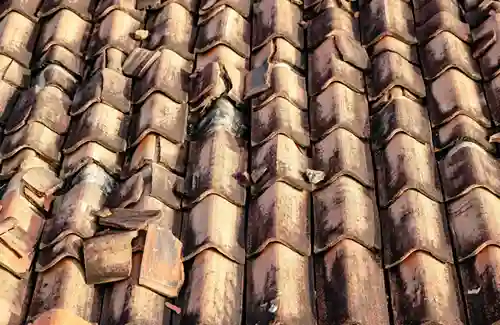 Close-Up of Damaged Shingles