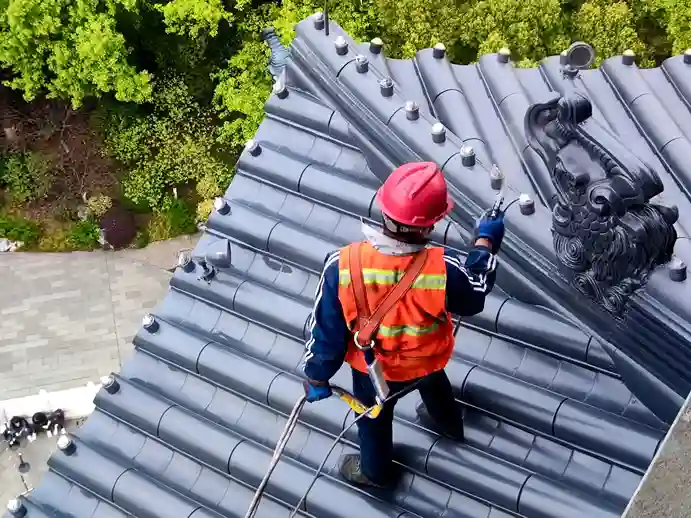 Rooftop inspection