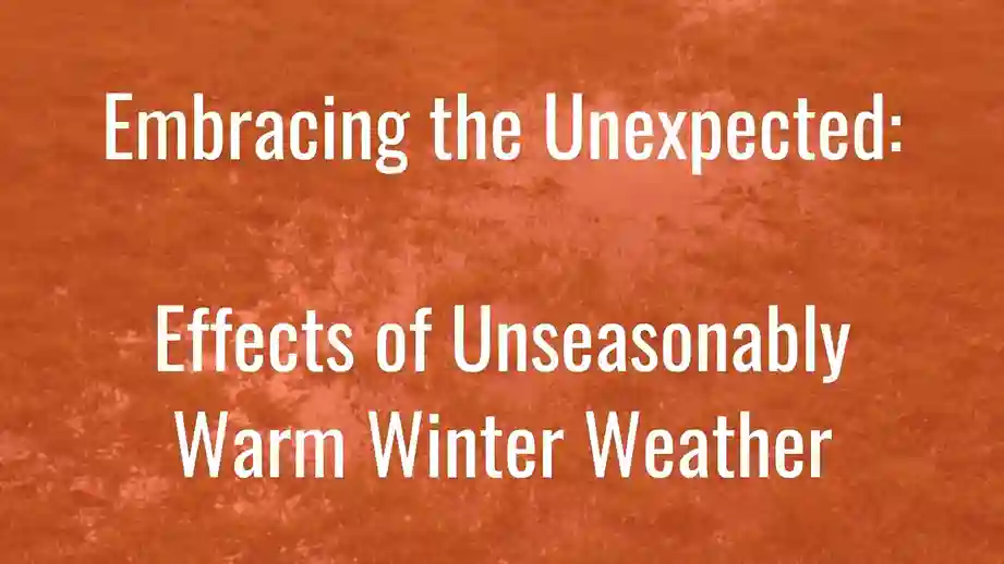Title about effects of unseasonably warm winter weather and embracing unexpected changes