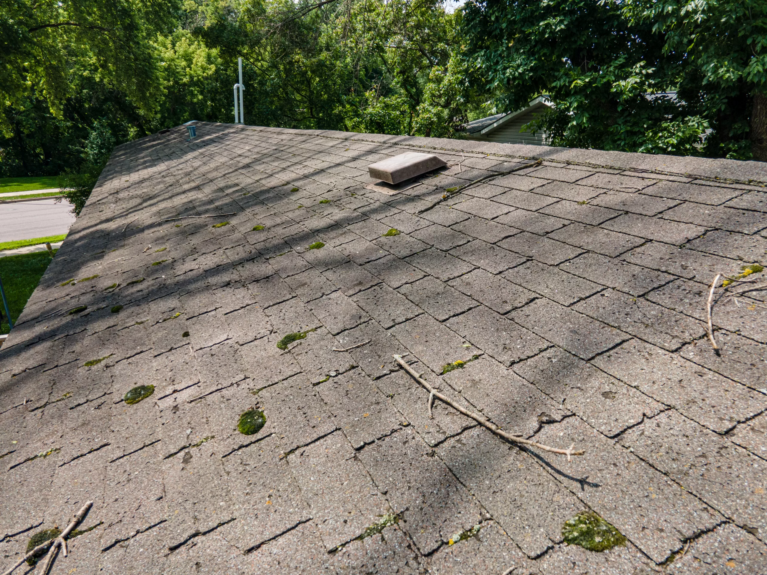 Gray asphalt shingle roof with moss patches, scattered sticks, a vent, and surrounding trees.