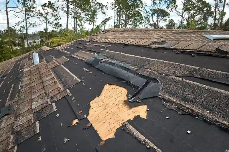 Roof Leakage